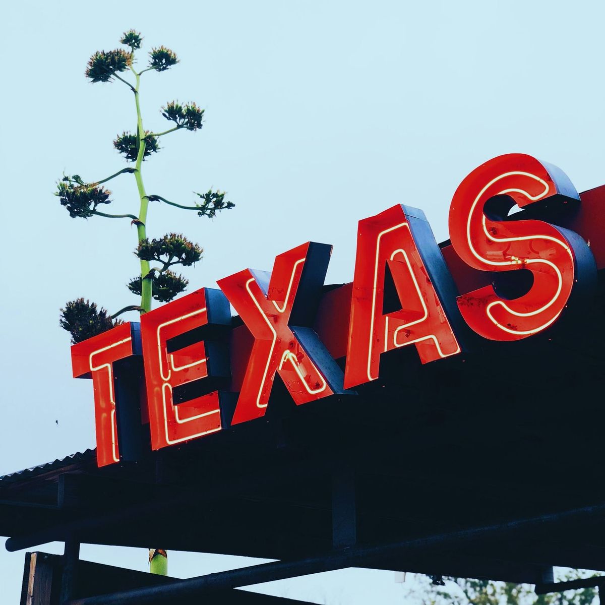 Texas Sign