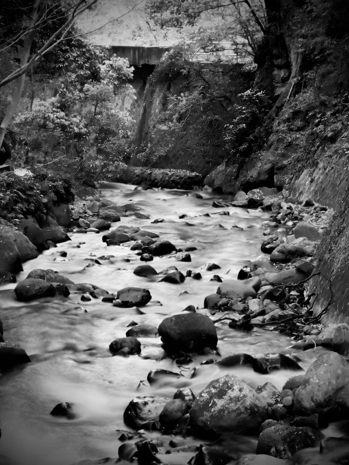 Rivers Flow Through Mondays