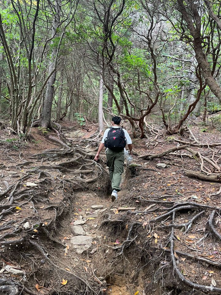 My 20-Mile Hike to Mount Mitchell: A Journey of Grit and Cold Chicken