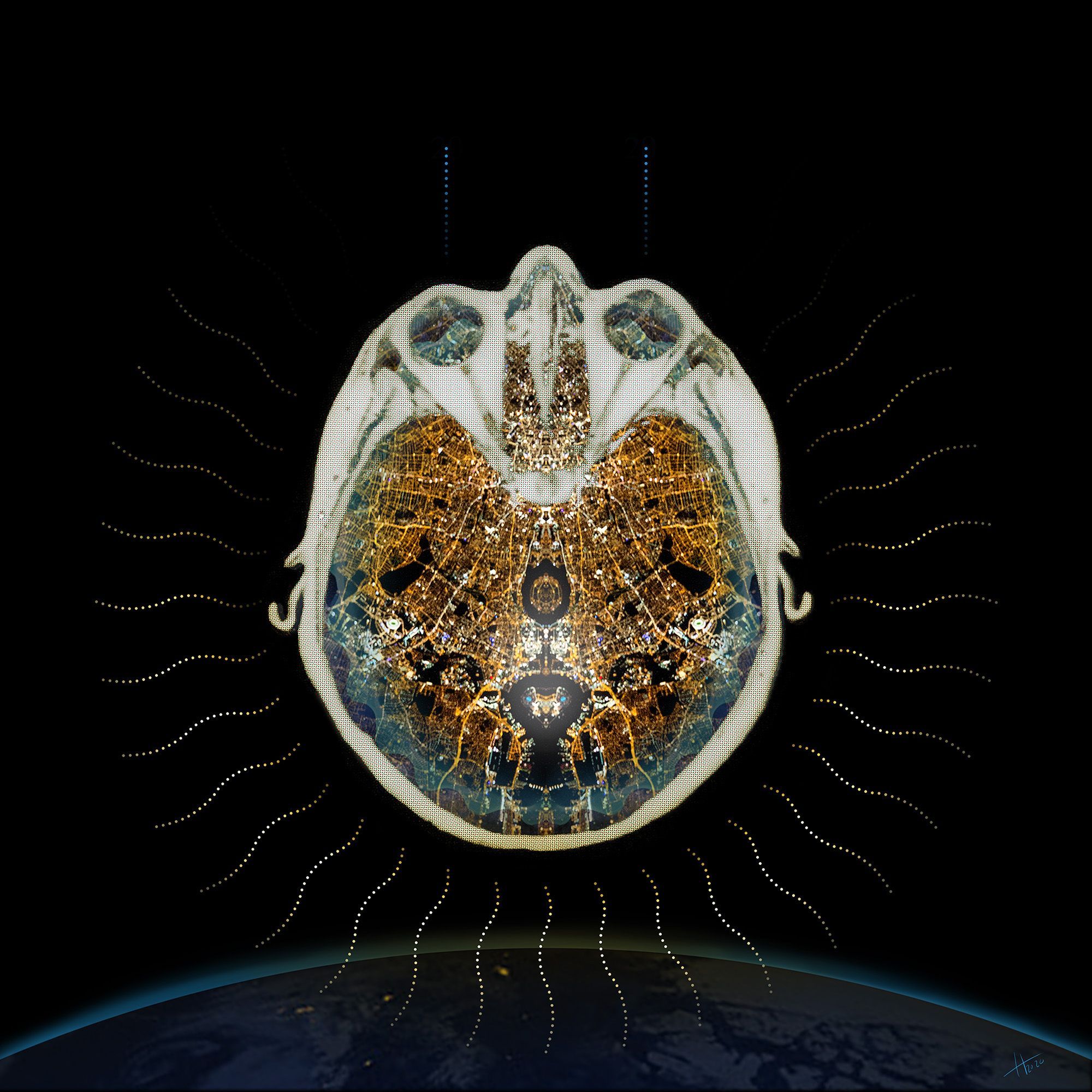 brain image