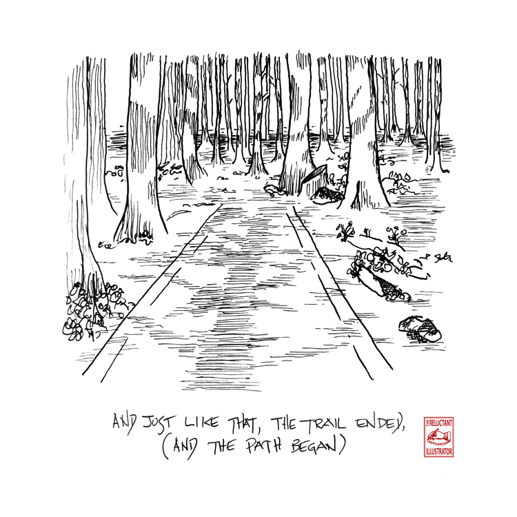 Nel mezzo del cammin...