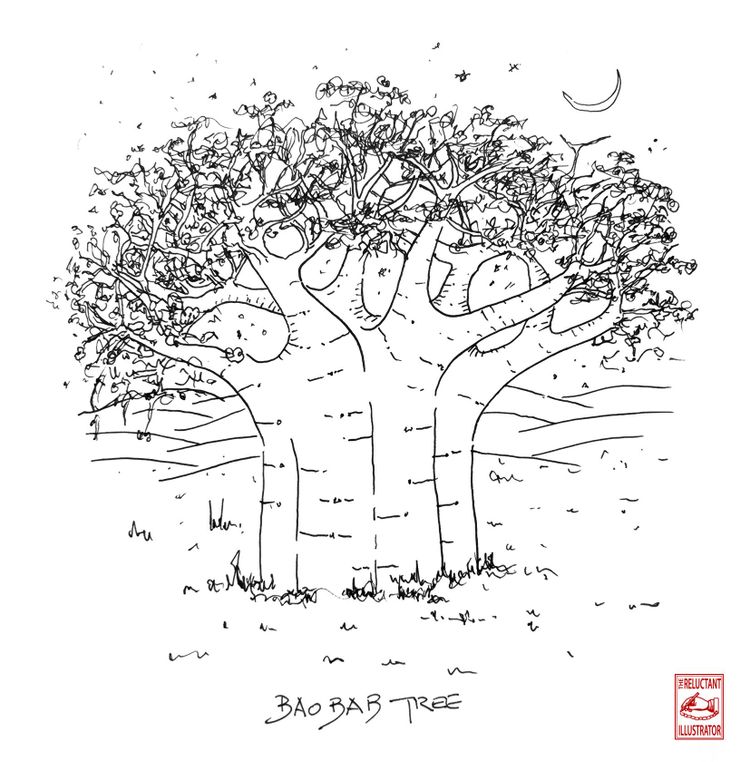 Baobab tree