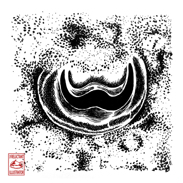 we are all dots (and cuttlefish)