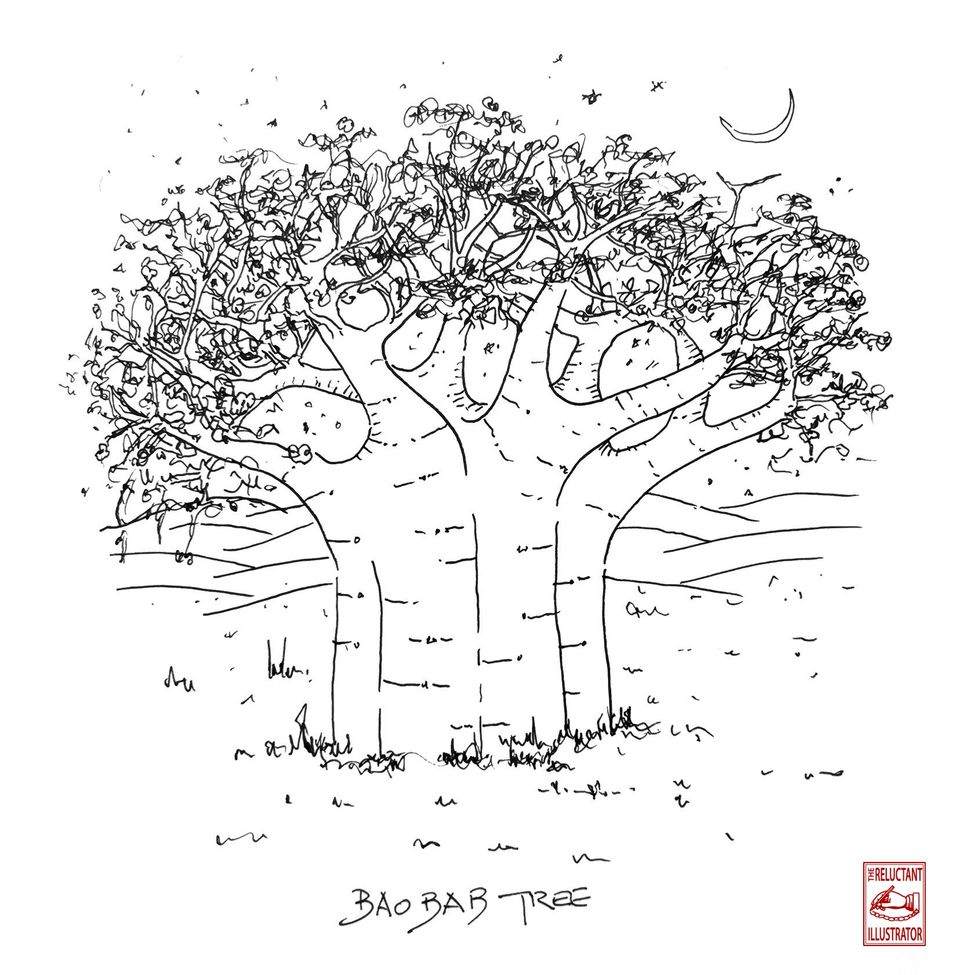 Baobab tree
