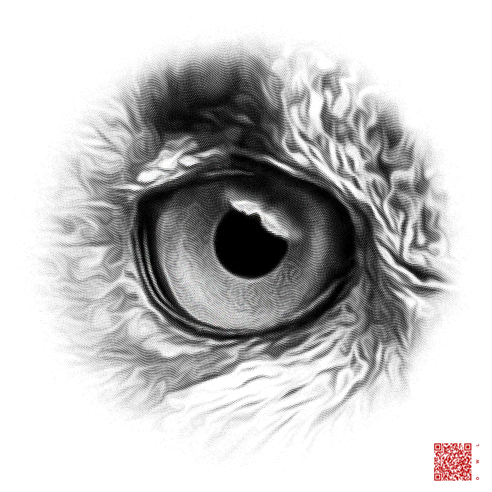 The Eyes of the Many