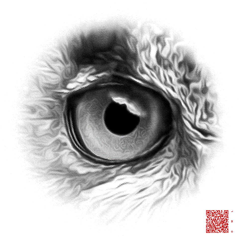 The Eyes of the Many