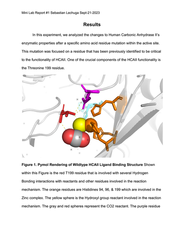 Biochemical Manipulation of Human Carbonic Anhydrase II Enzyme