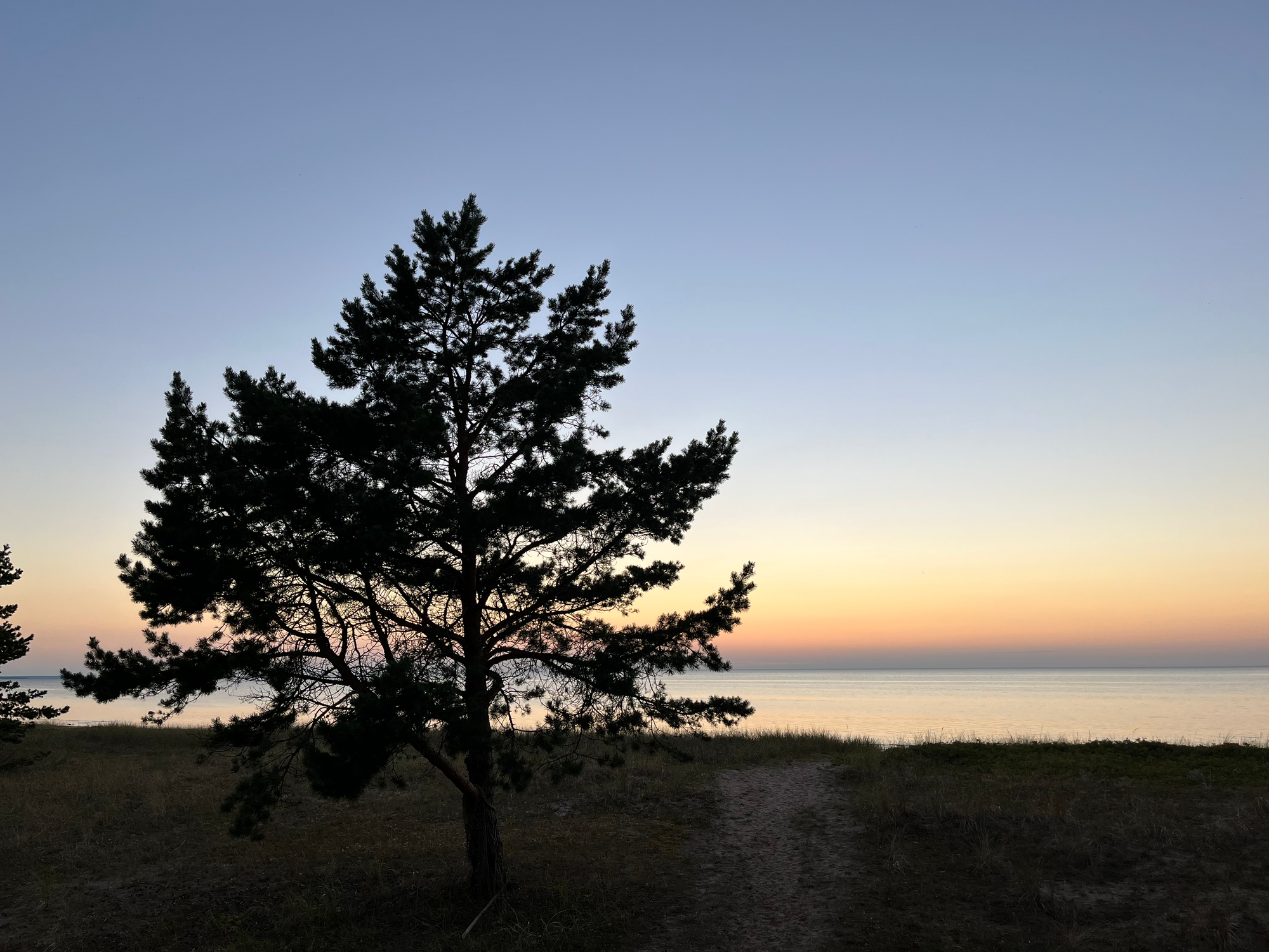 You Should Take More Pictures