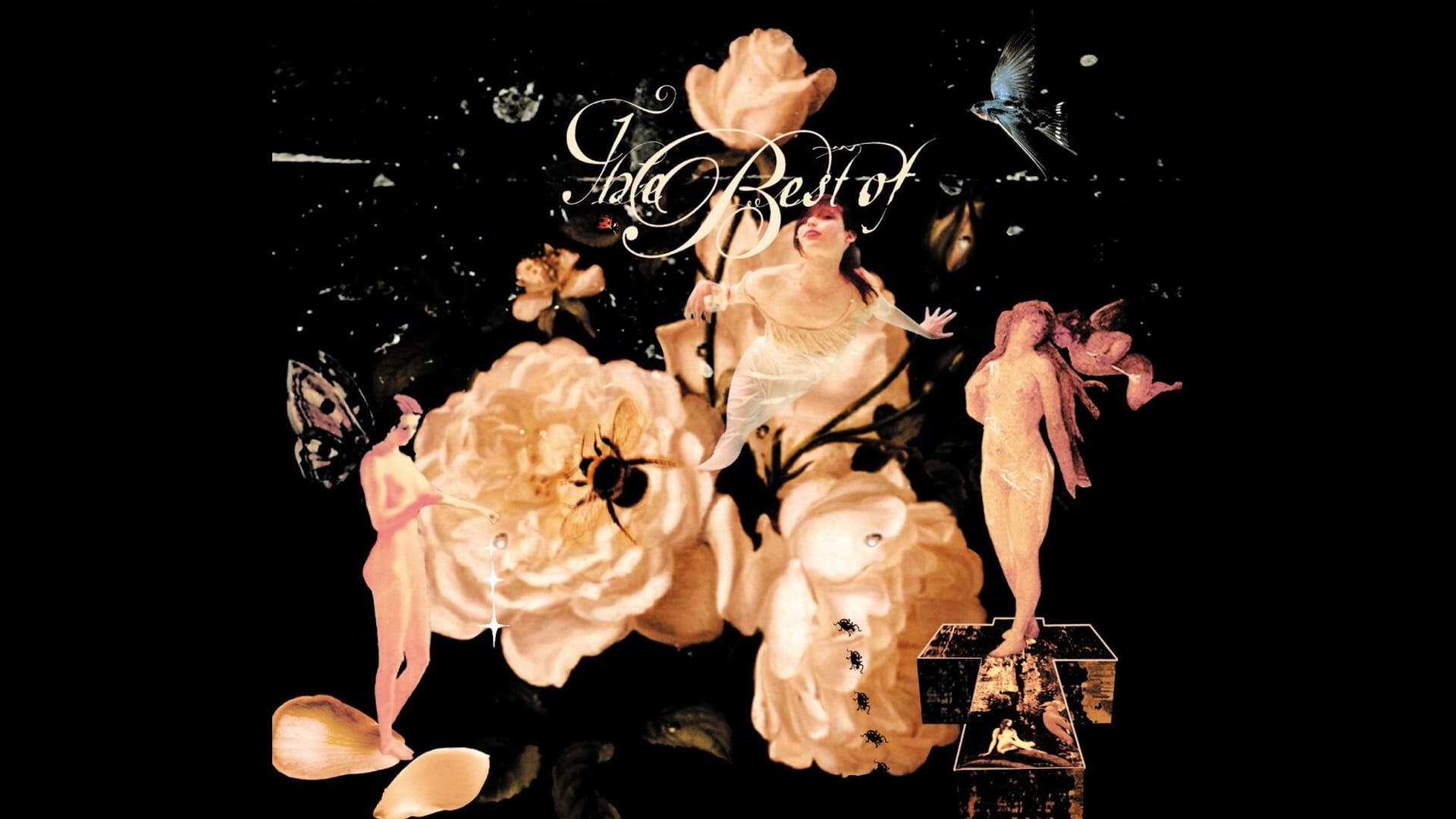 Disconnect to Reconnect