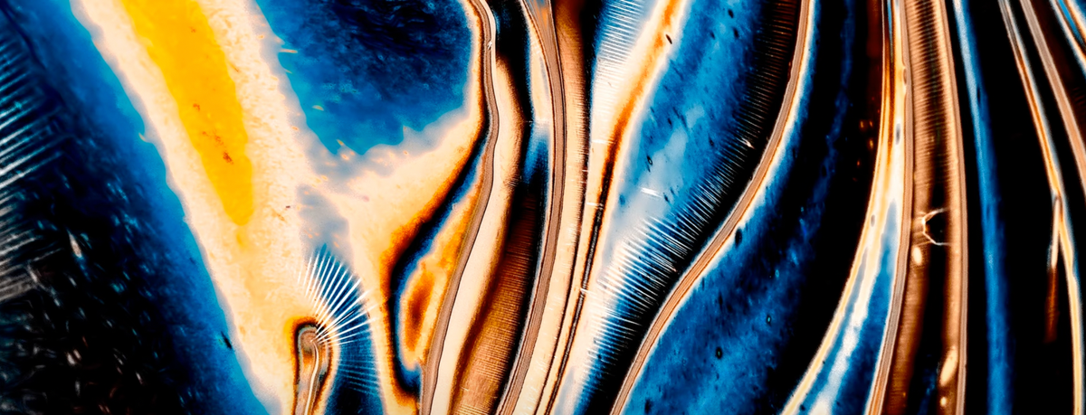 Schrödinger & Festivities