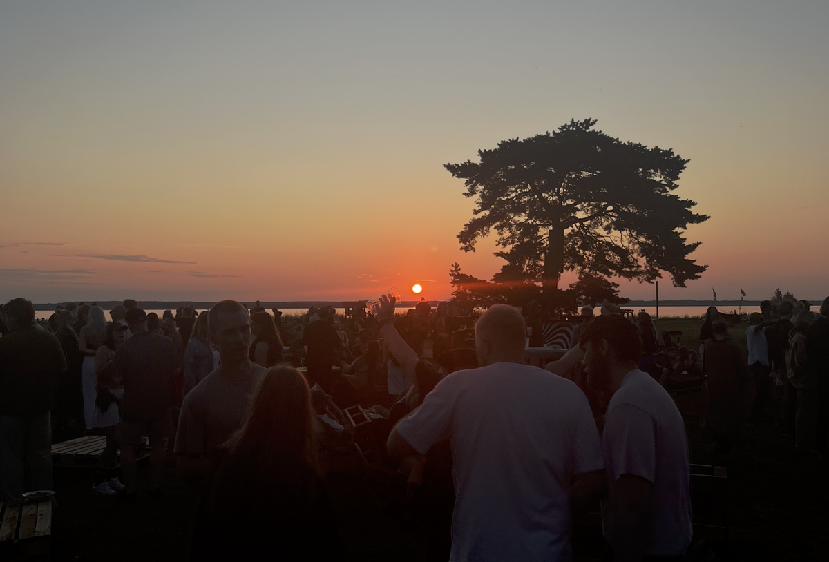 The Hungover Experiment: What ChatGPT Thinks of My Intelligence