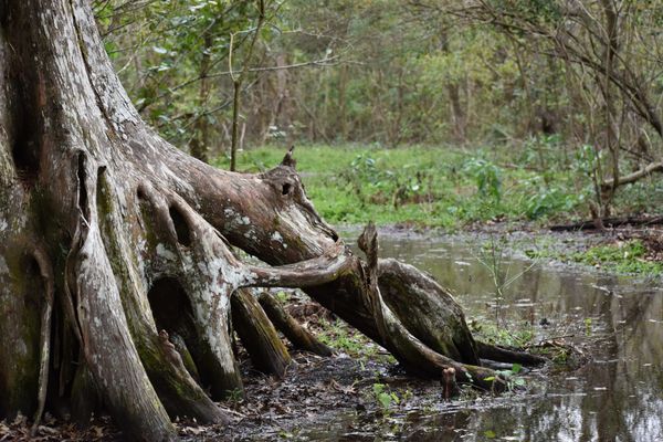 A Birthday, an Anniversary