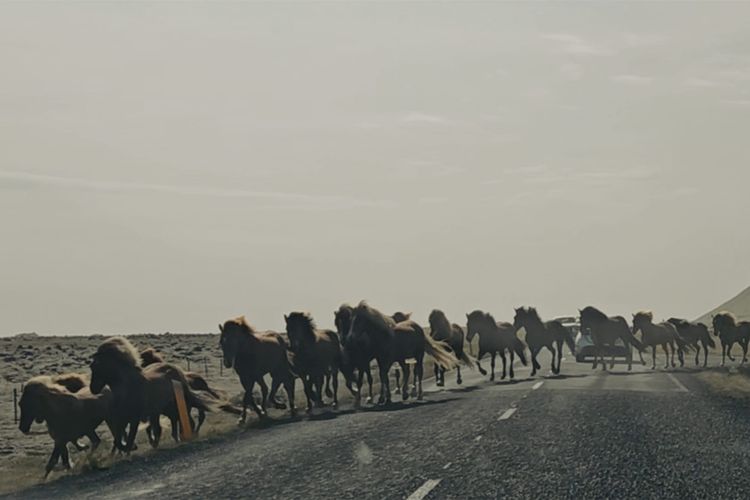 On finding urban silence, aka., "may all those who honk have a safe ride home..."
