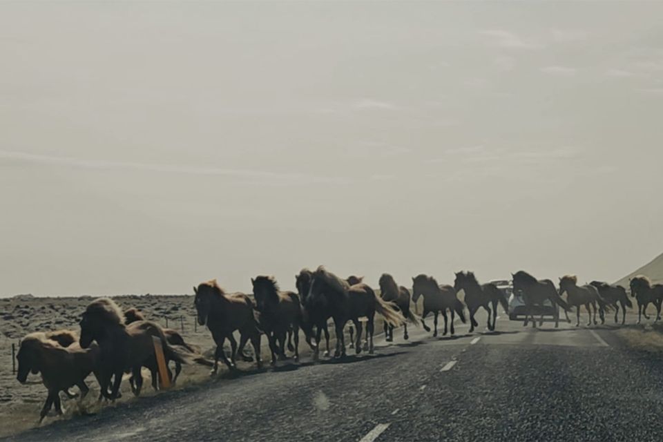 On finding urban silence, aka., "may all those who honk have a safe ride home..."