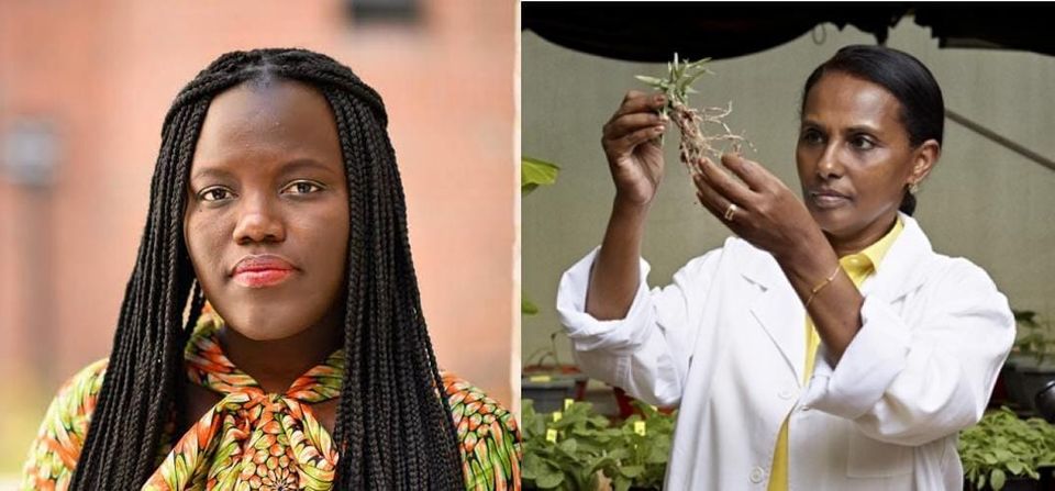 From Lab Benches to Global Leadership: African Women Redefining STEM