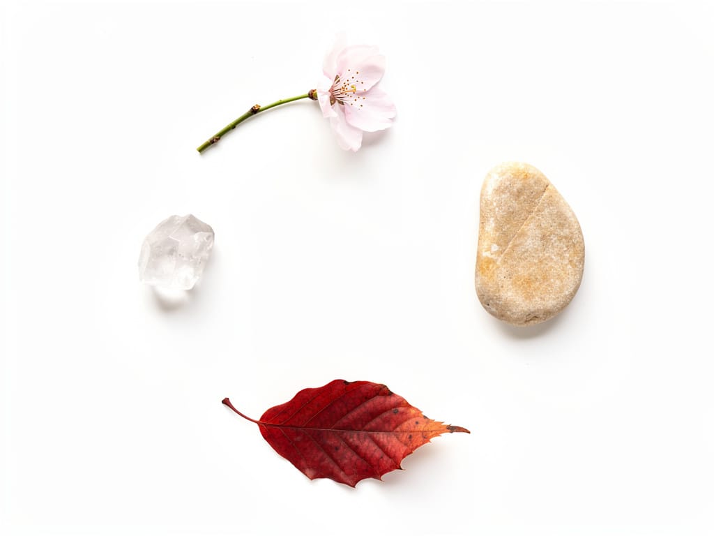 Abstract representation of the four hormonal seasons