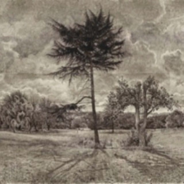 Drawing a Wider View