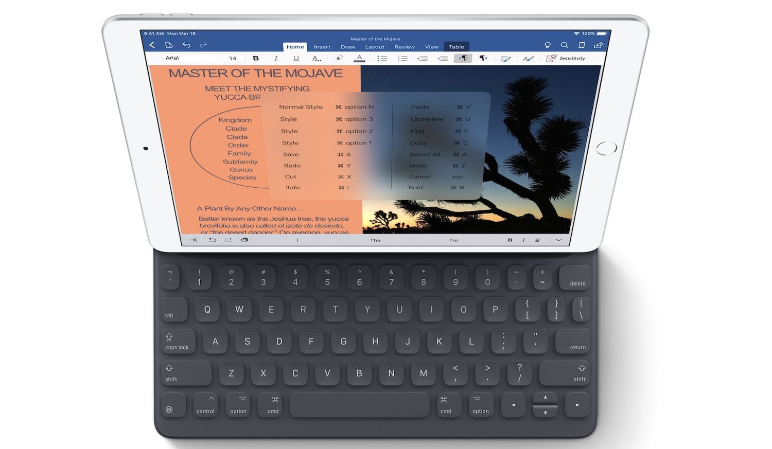 10.5-inch iPad Air