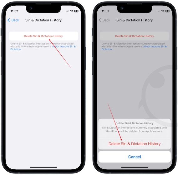 iPhone screenshot showing delete Siri & Dictation History option