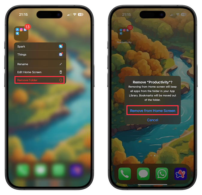 Removing folder from iPhone Home Screen