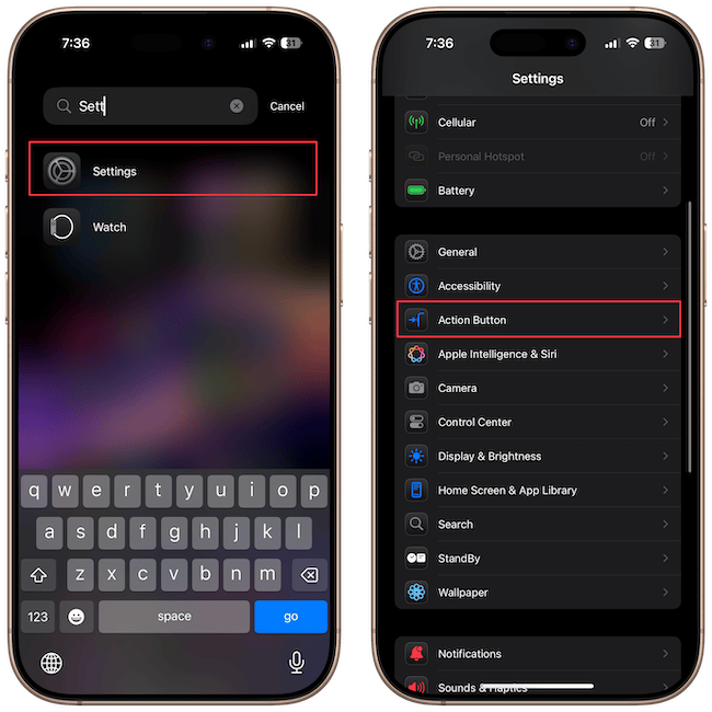 Action Button settings page