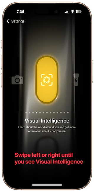select the Visual Intelligence option