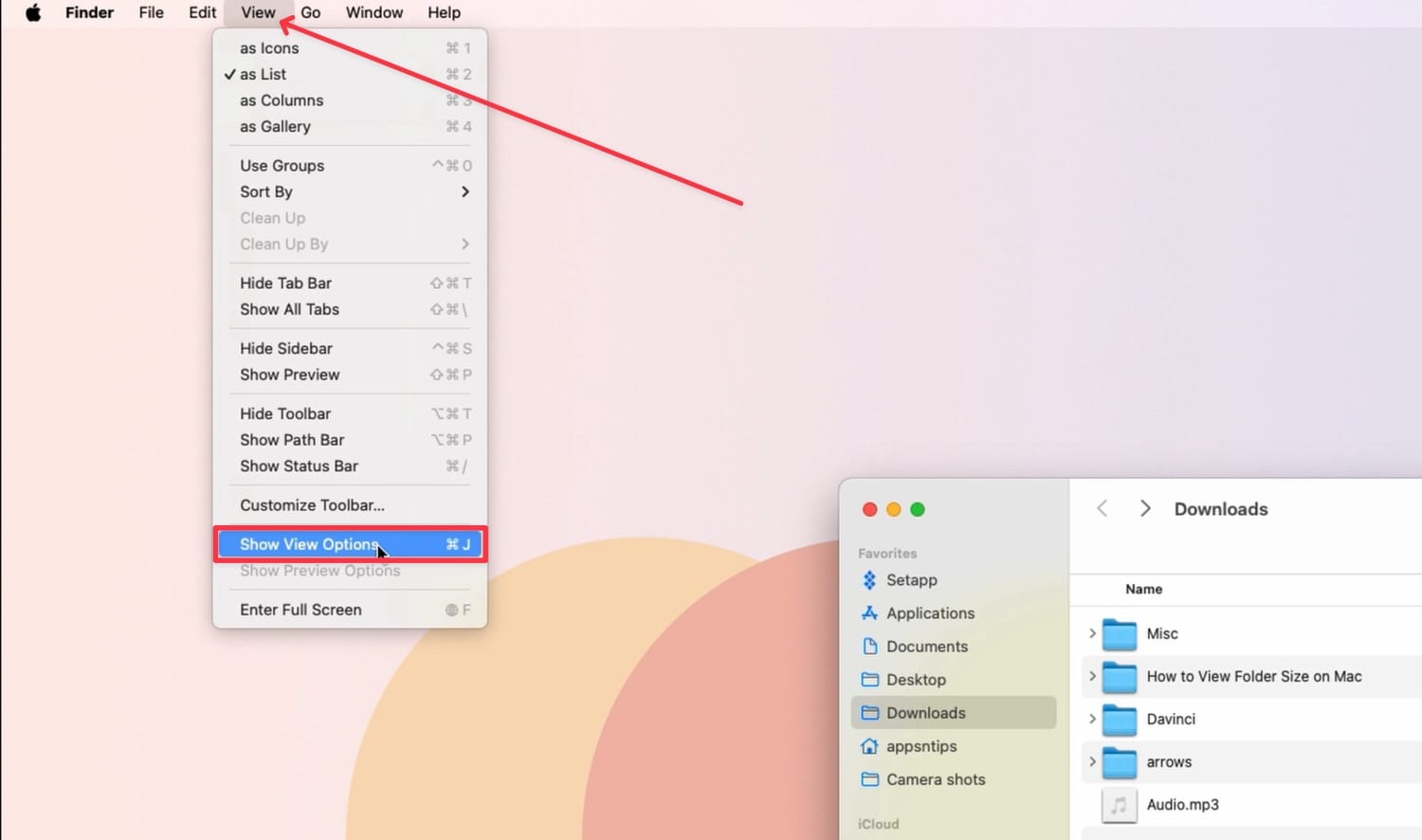 View menu showing Show View Options