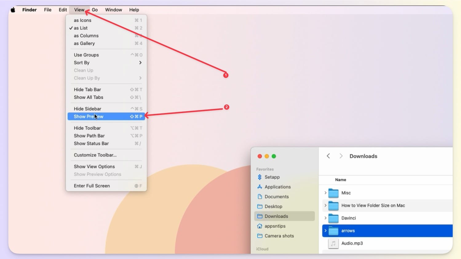 Show Preview option in View Menu