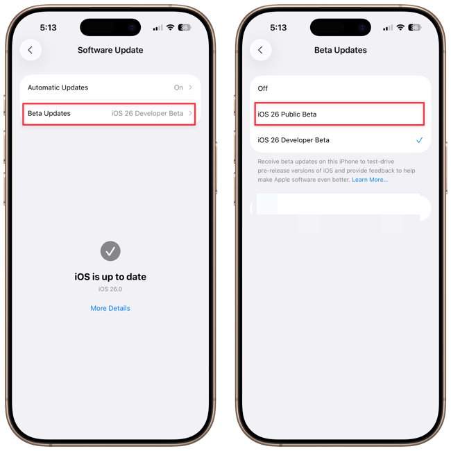 chossing iOS 26 public beta option