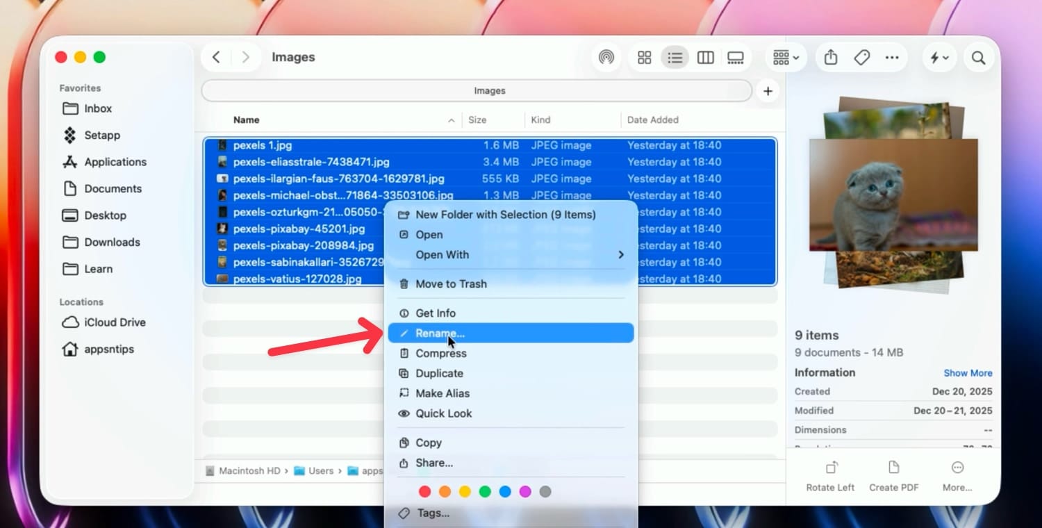 batch rename option in right-click menu