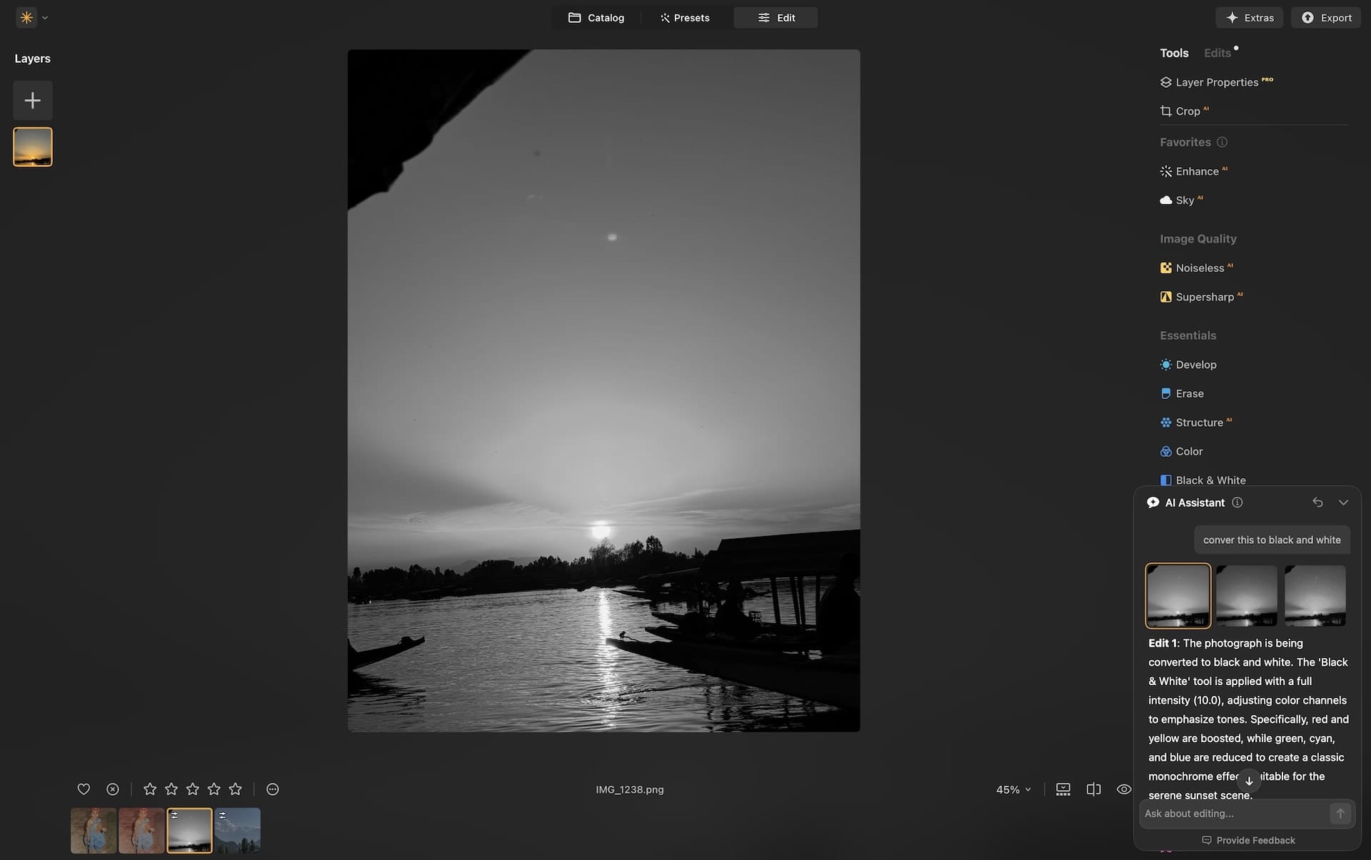 AI assistnat in Luminar Neo commands to black and white
