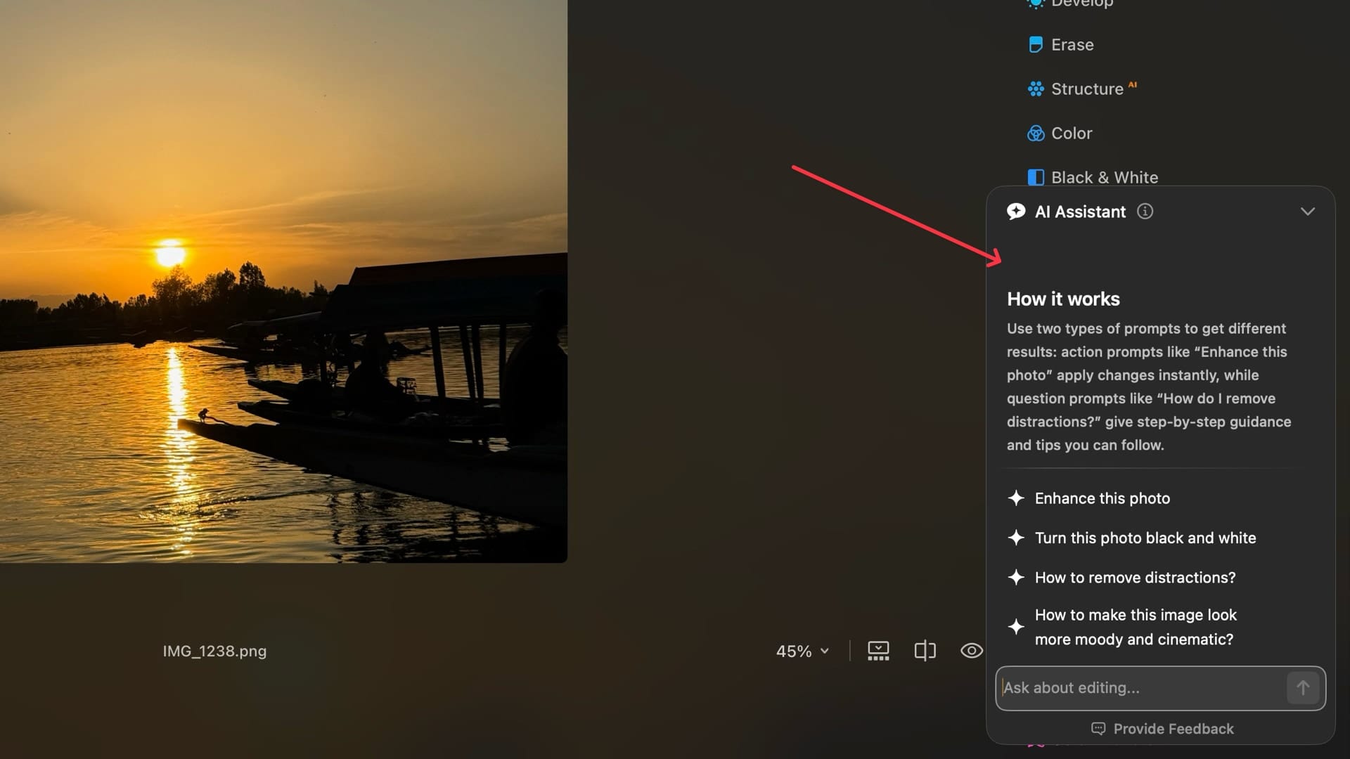 AI assistnat in Luminar Neo commands