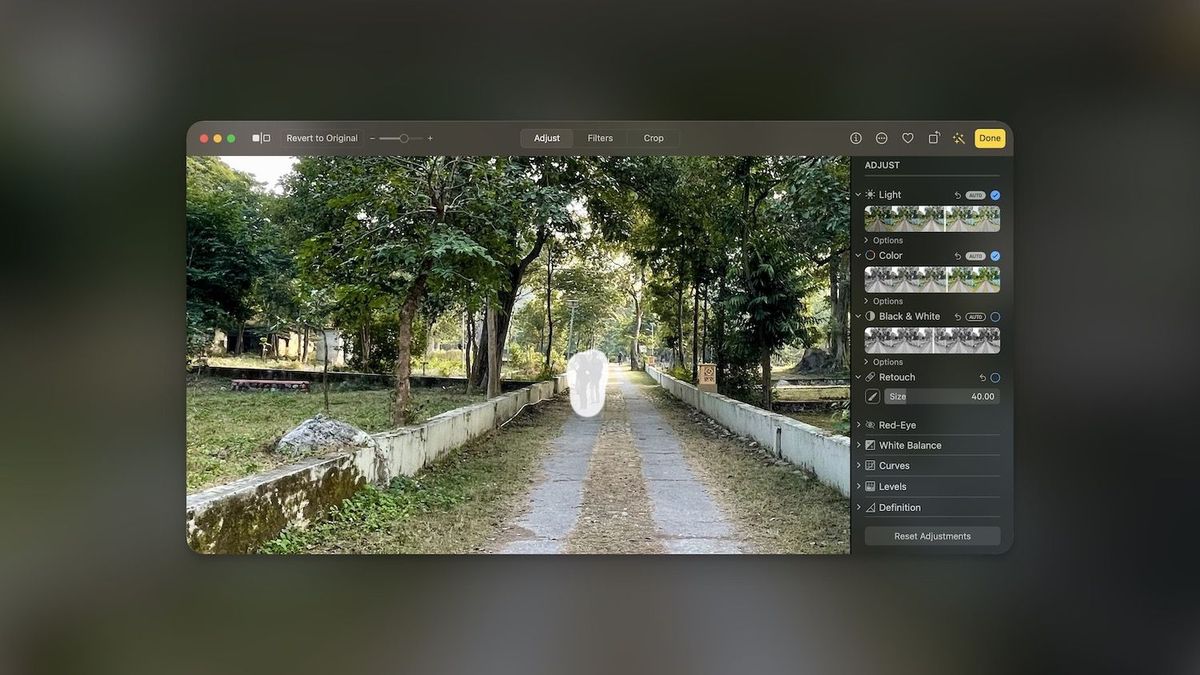 Mac Photos app screenshot showing how to remove unwanted objects from Photos