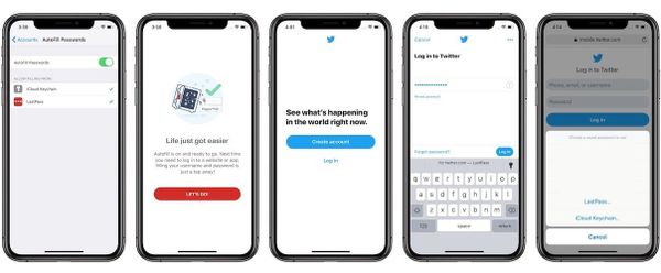 How to Enable Password Autofill in Apps and Safari in iOS