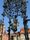 Göttingen