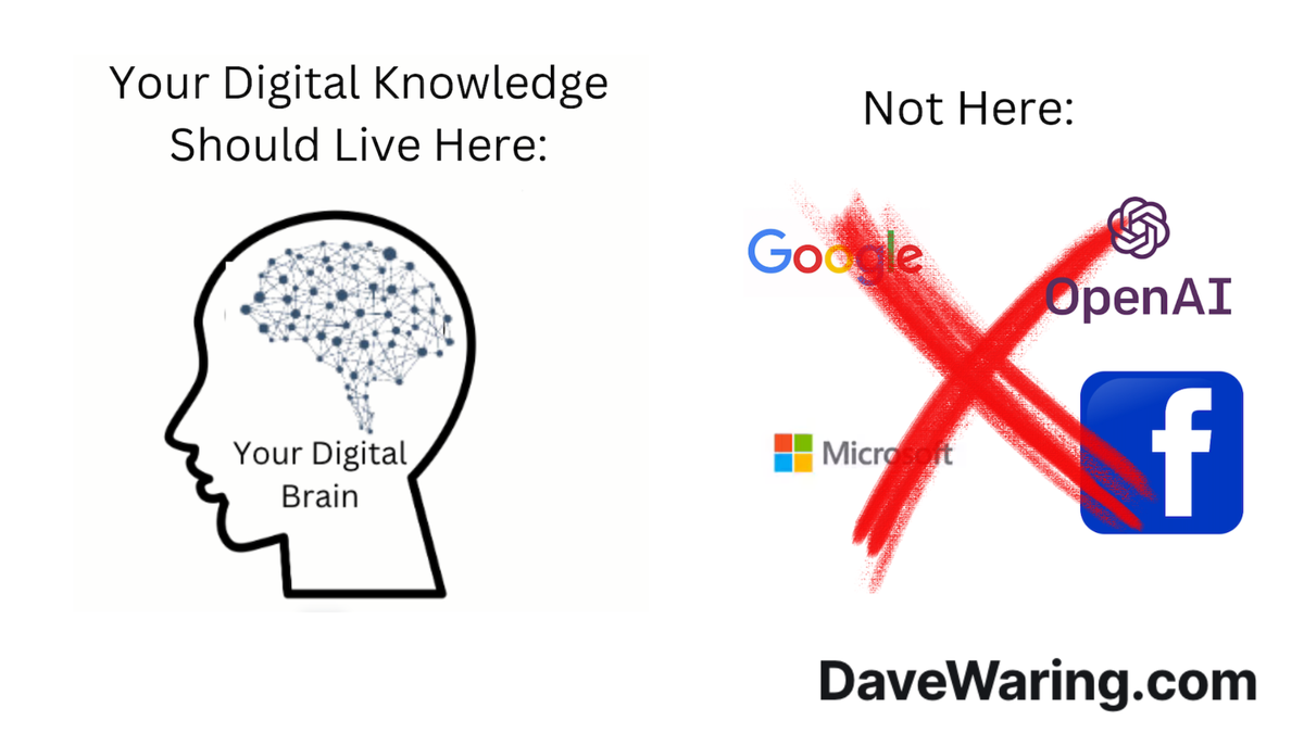 Digital Brains - Request for Feedback