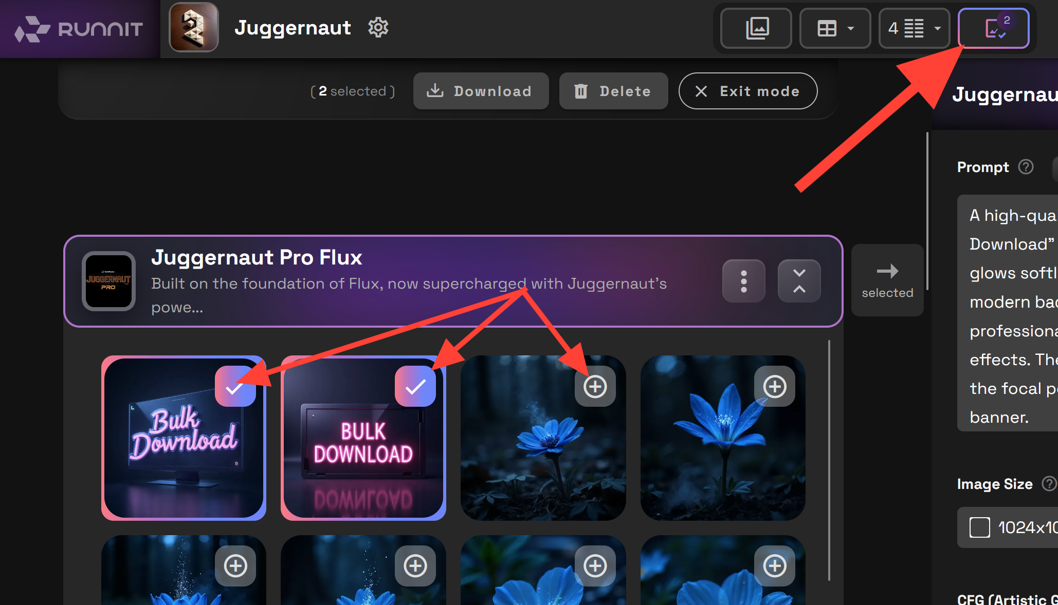 Screenshot showing px) 720px"> Click on the Plus sign of the images you wish to download