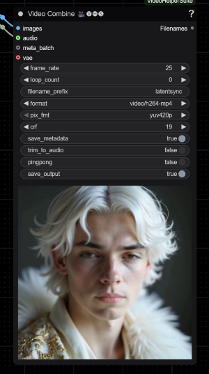 LatentS-Video-Audio LatentS-Video-Audio.json 8 KB download-circle Load the workflow. Once your workflow is loaded. You may ge