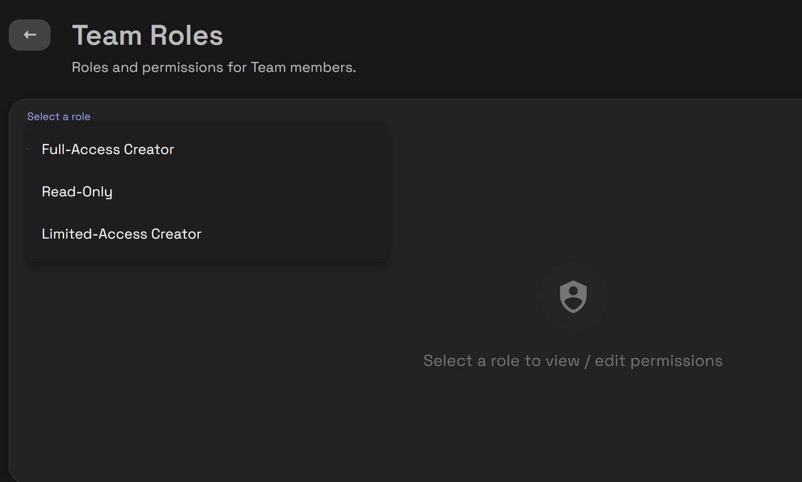 Click Edit to update the selected Team Role.