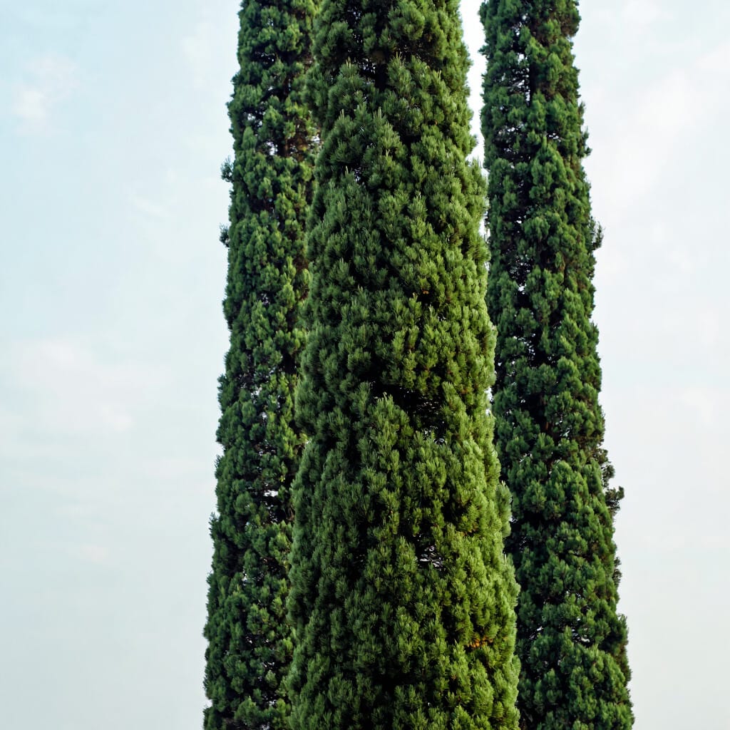 Composition keyword example for vertical composition