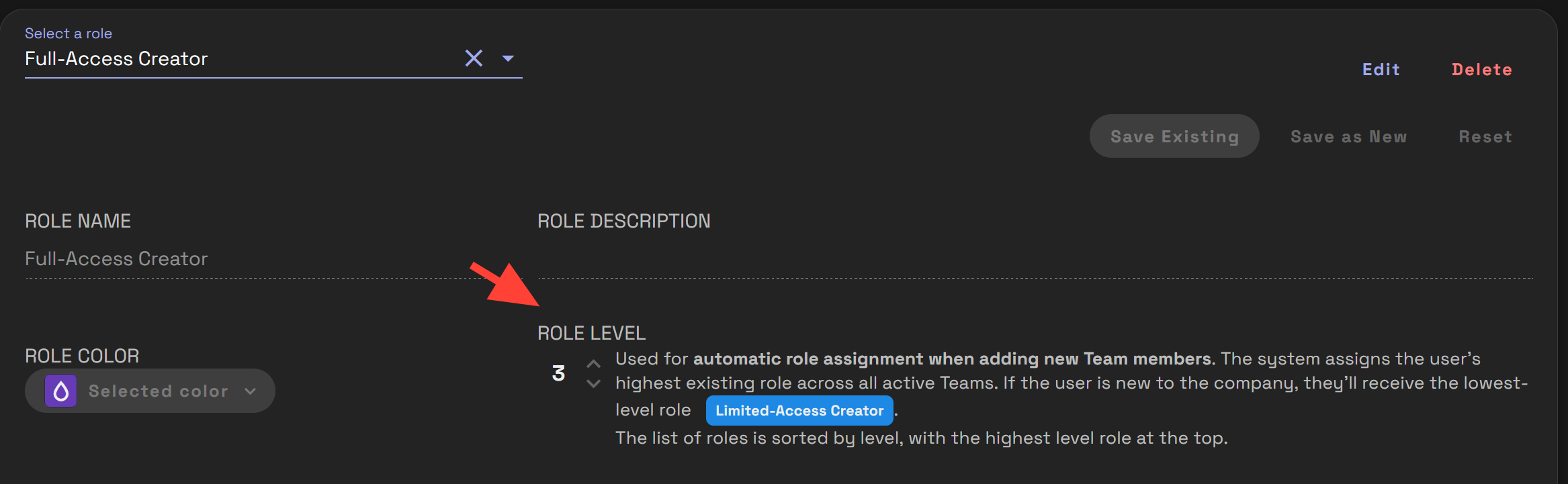Role Name, Role Description, Role Color, and Role Level fields in Team Roles.