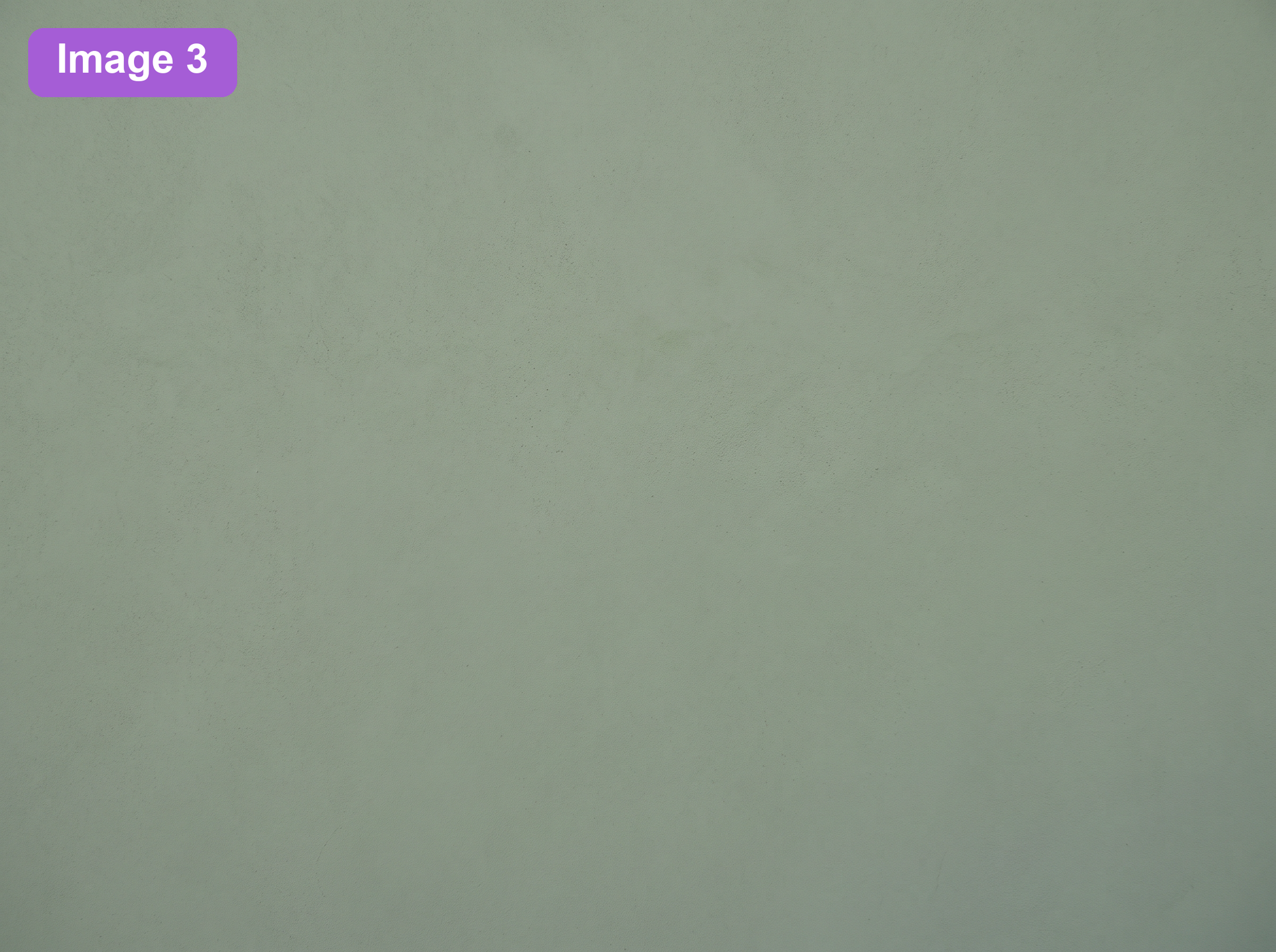 Image 3 zoomed muted sage green color reference