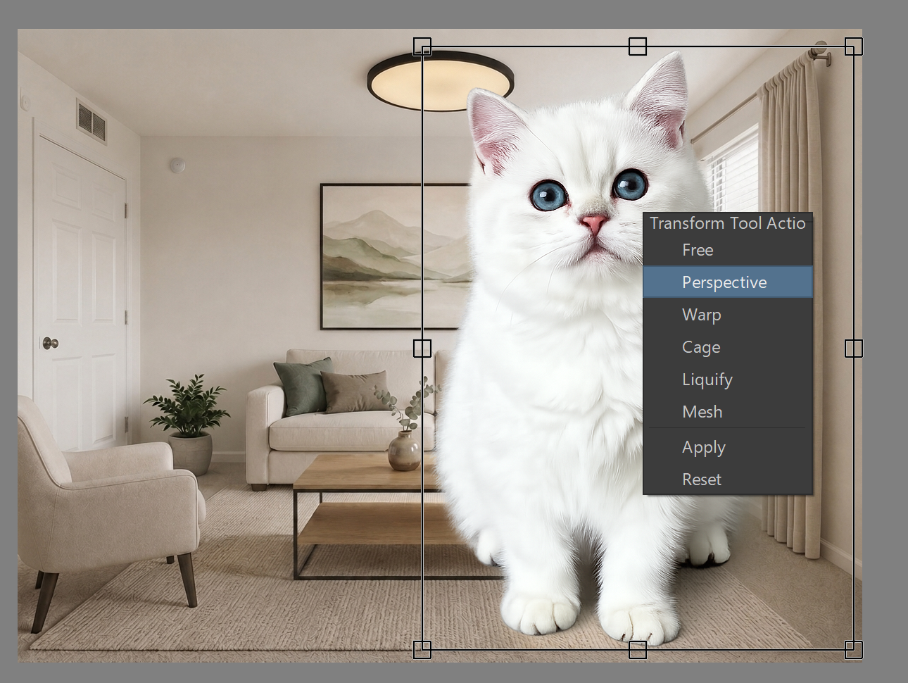 Transform tool menu with Perspective selected for a white cat layer placed in a living room