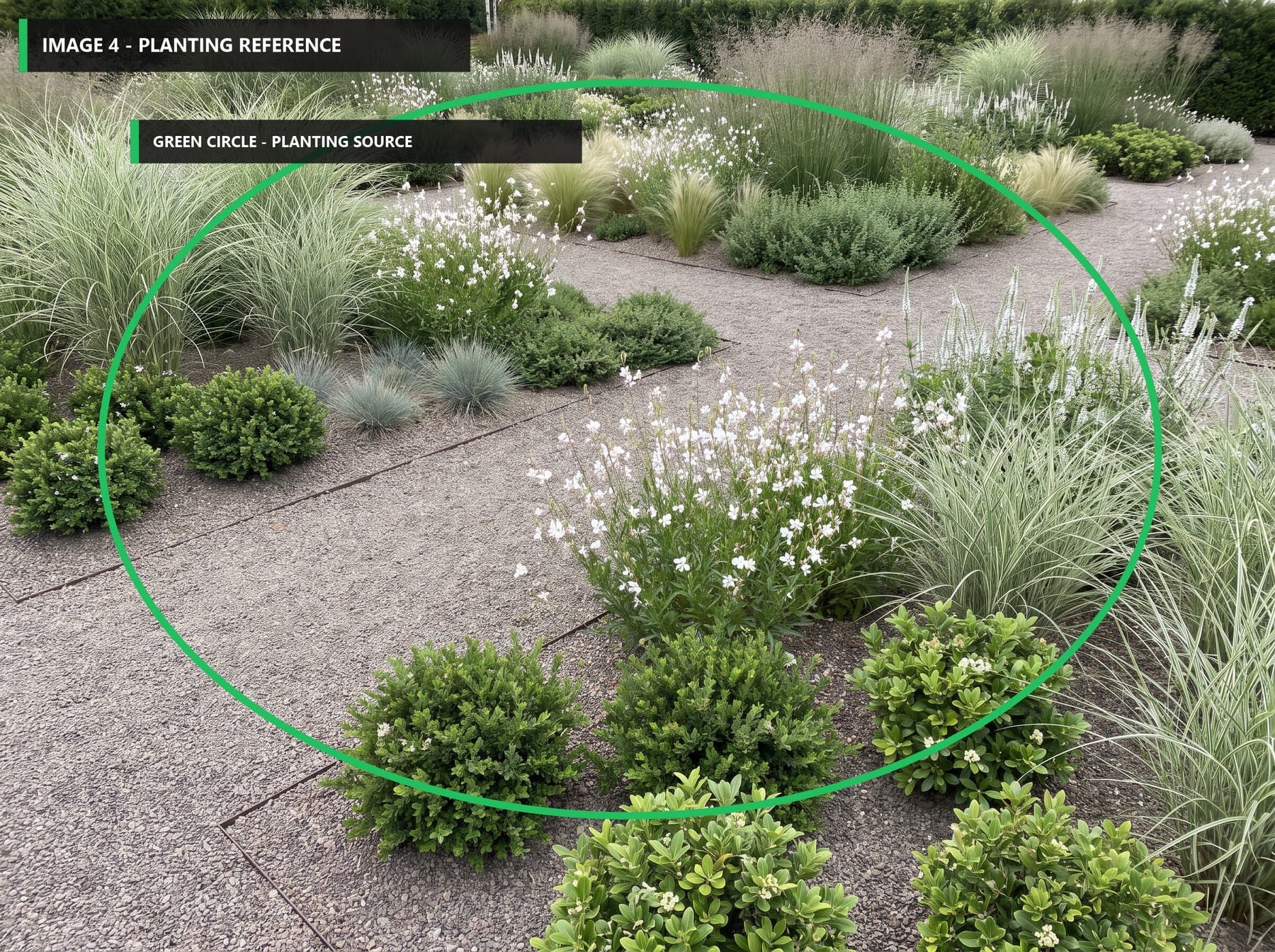 Image 4, a planting reference with the source palette marked by a green circle.