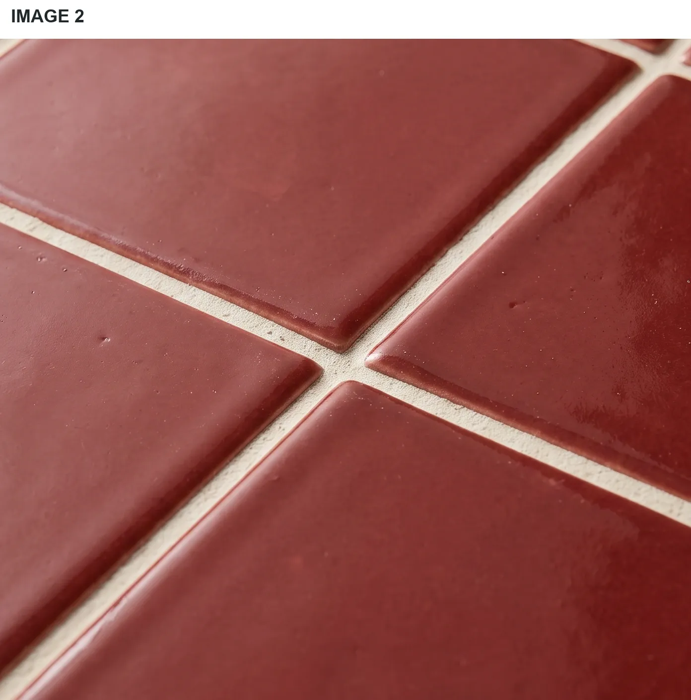 Image 2: cropped reference