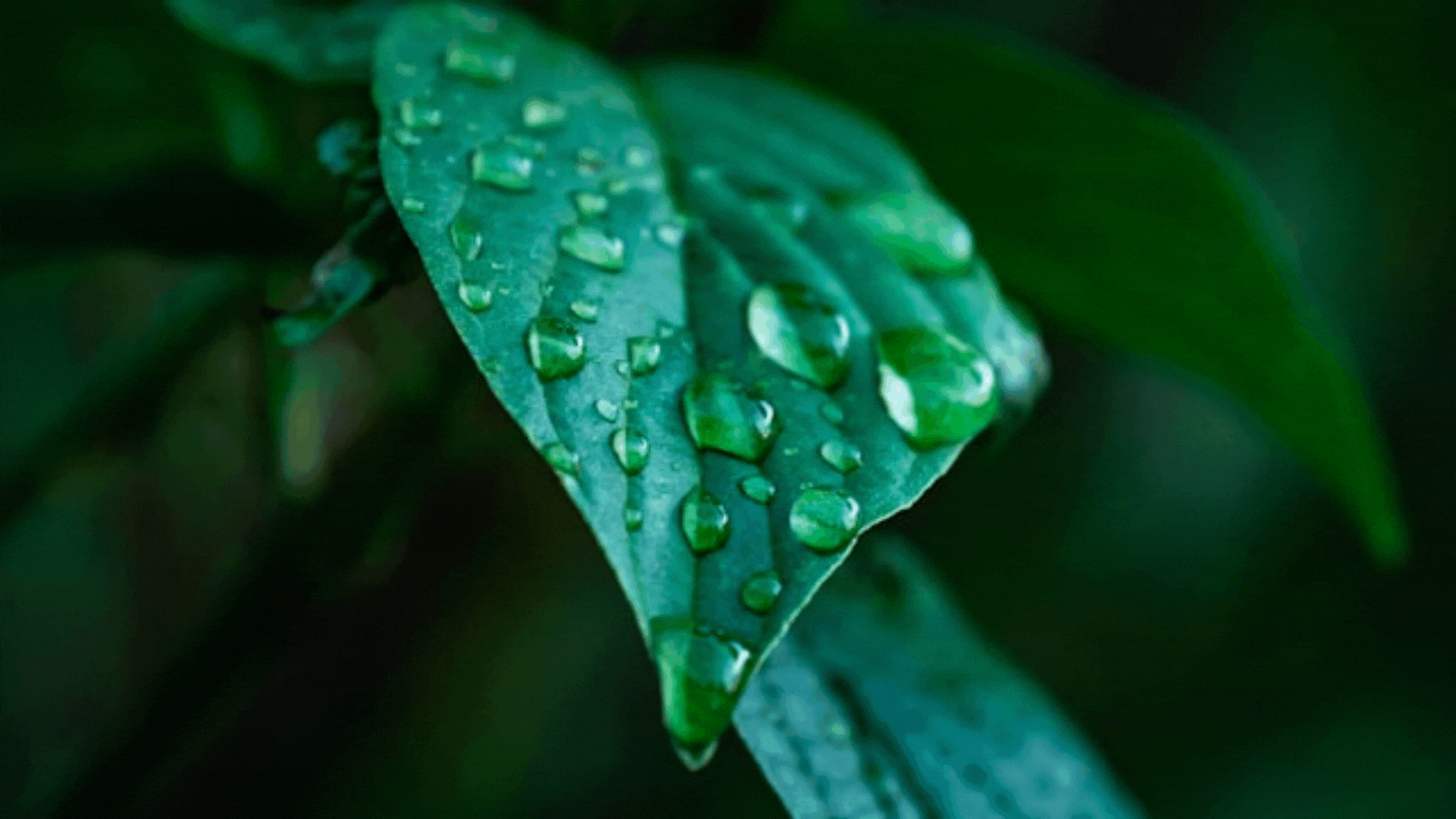 Introducing the Magnific Upscaler: AI-Powered Detail & Texture Reinvention | RunDiffusion