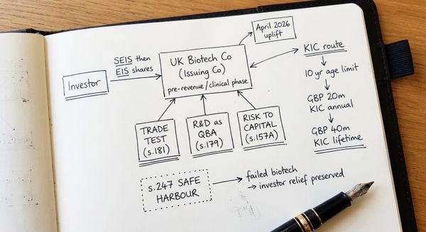 Hand-drawn sketch showing SEIS and EIS structuring decisions for a UK loss-making biotech company