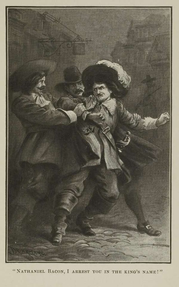 Make Virginia Flat Again