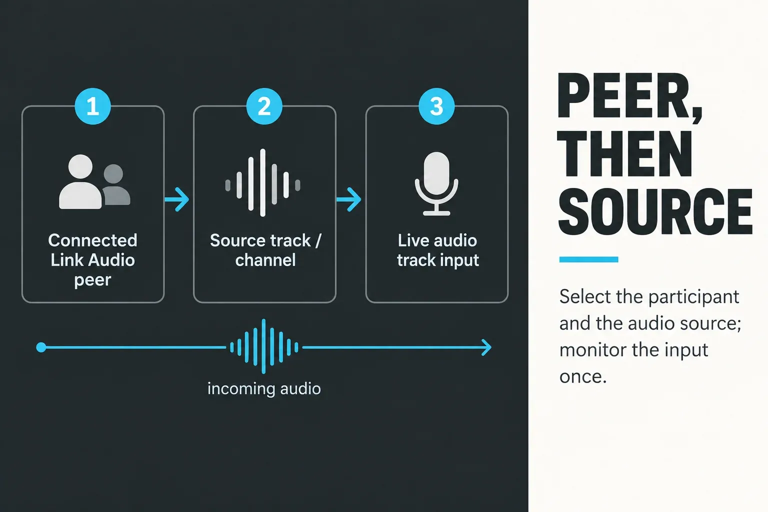 Infographic showing the routing from a connected Link Audio peer through source track or channel to a Live audio track input