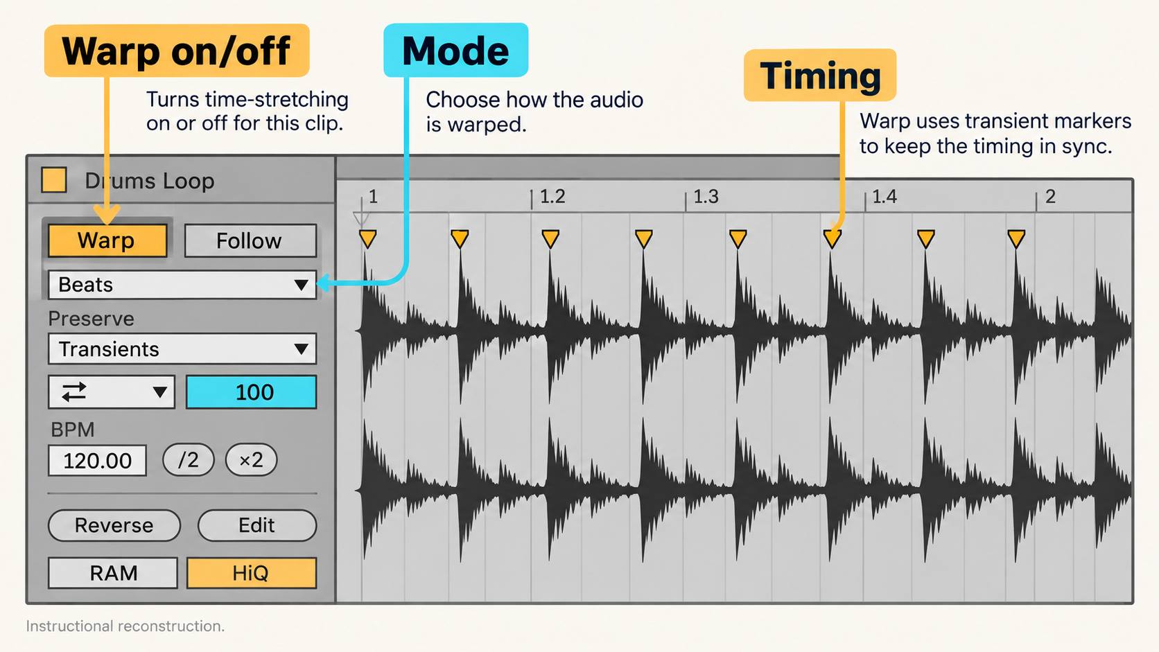 Instructional reconstruction: Ableton Live 12 audio clip Warp toggle, mode and transient controls